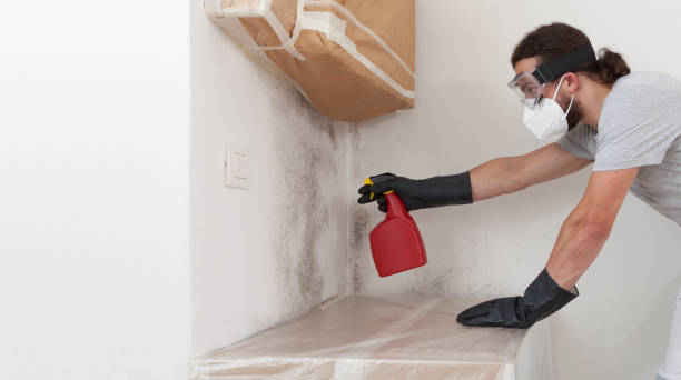 Professional Mold Remediation technician working in Hanscom AFB, MA
