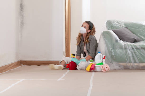 Reliable Mold Remediation contractor in Hanscom AFB, MA by Car Mold Remediation